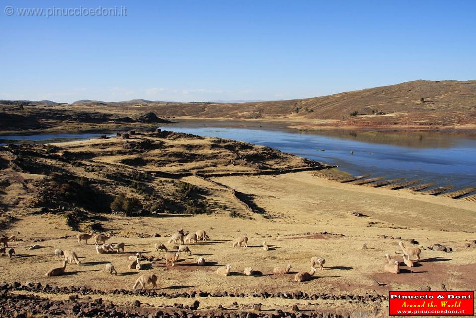 PERU - Sillustani - Lake Umayo  - 01.jpg